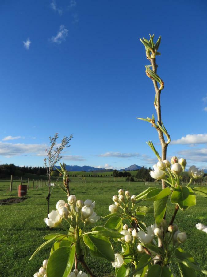 Quiet Studio In Paradise Wanaka Zewnętrze zdjęcie